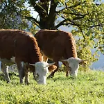 Çiftlik konaklama Wimmerhof - Chiemgau Karte *