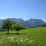 Wimmerhof - Chiemgau Karte Çiftlik konaklama Inzell