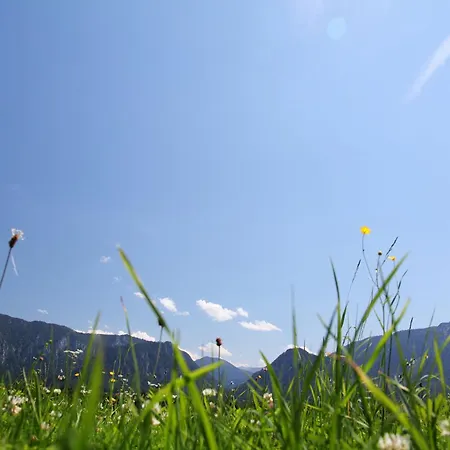 Wimmerhof - Chiemgau Karte