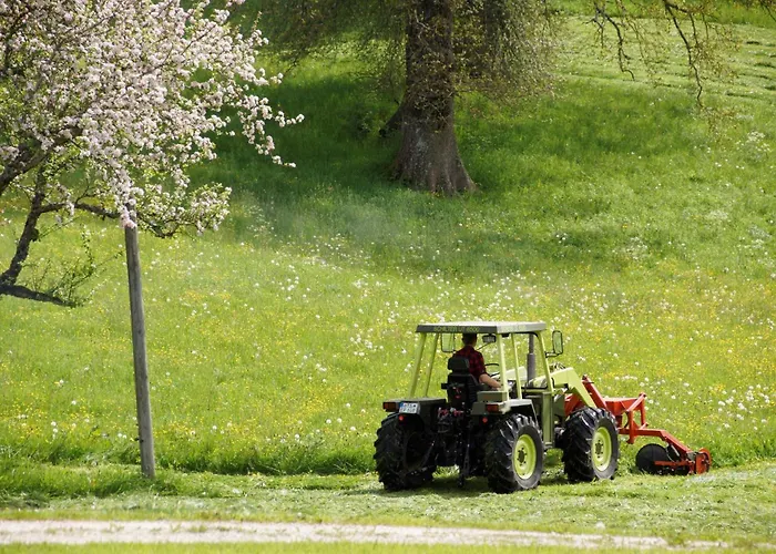 Wimmerhof - Chiemgau Karte Agroturismo *