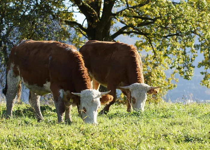 Agroturismo Wimmerhof - Chiemgau Karte *