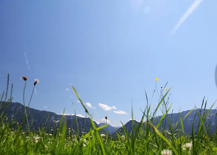 Wimmerhof - Chiemgau Karte