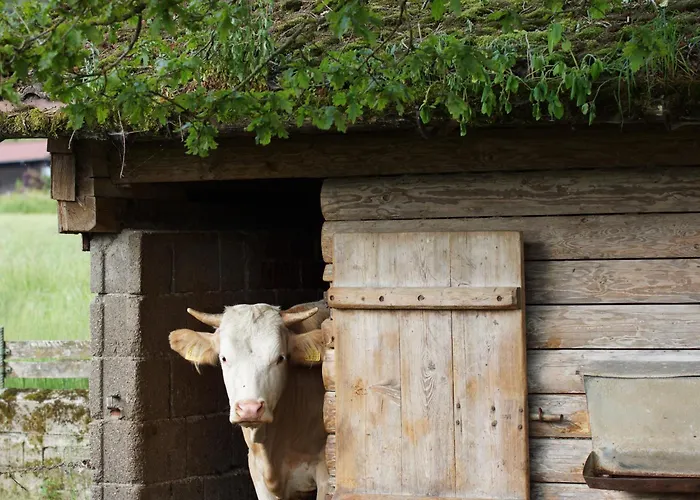 Wimmerhof - Chiemgau Karte Agroturismo