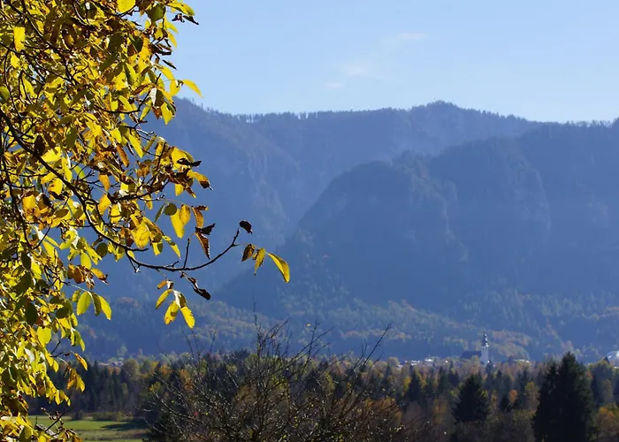 Wimmerhof - Chiemgau Karte Agroturismo
